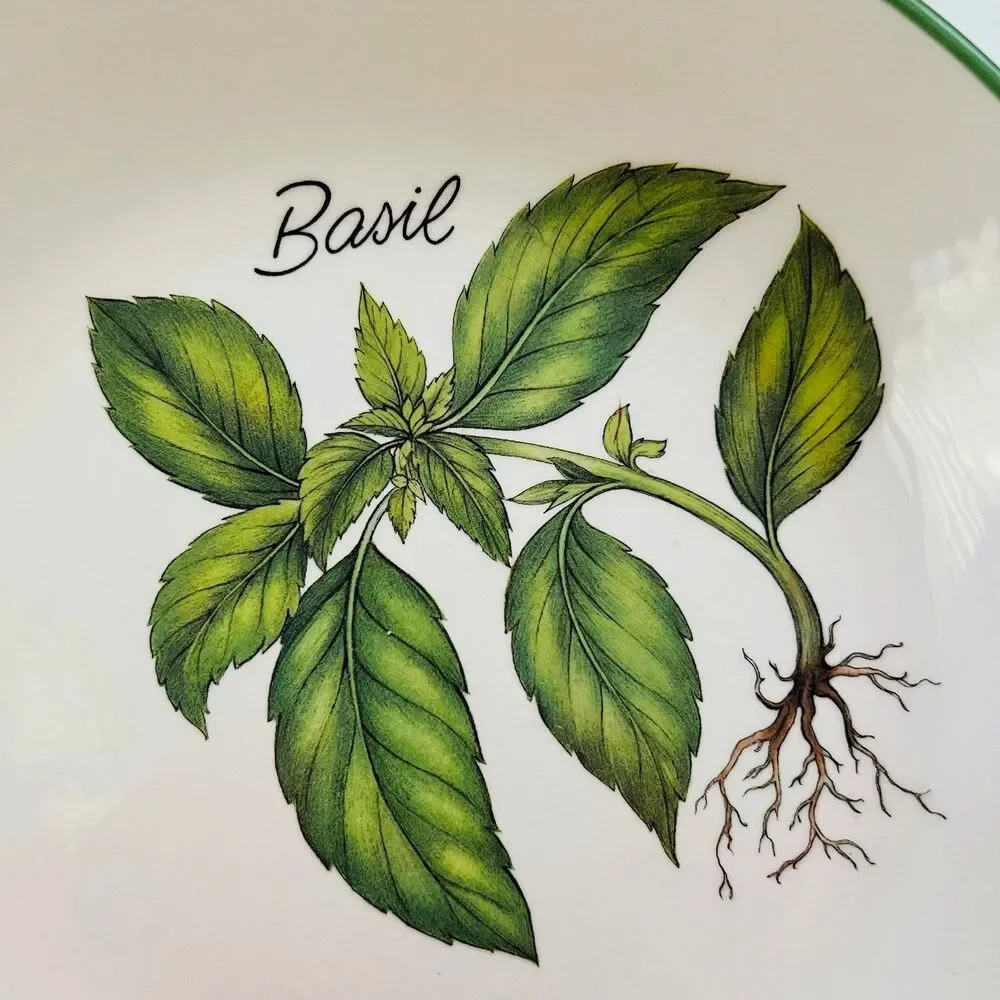 OVER AND BACK Stoneware Green Rim 